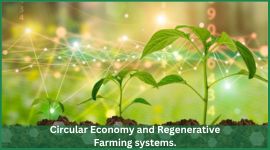 Understanding Circular Economy and Regenerative Farming